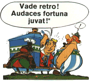 Audaces fortuna juvat!