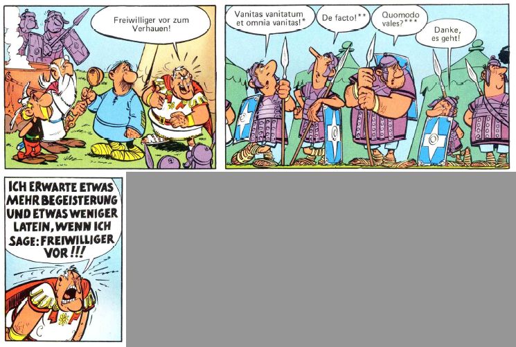 Freiwilliger Gallier, S. 36.jpg