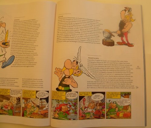 asterix 4.jpg