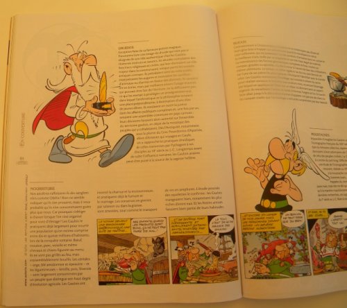 asterix 3.jpg